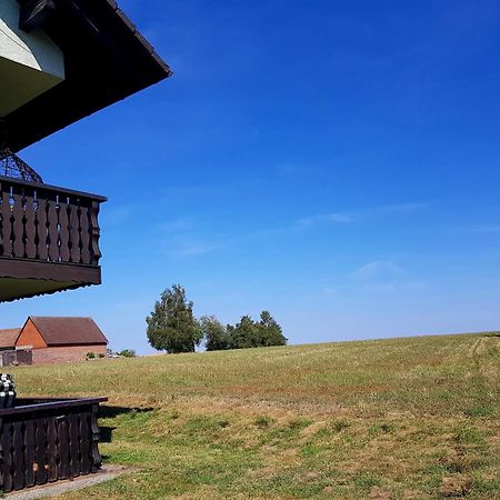 Geishoehe Landgasthof Rose Dammbach Pokój zdjęcie