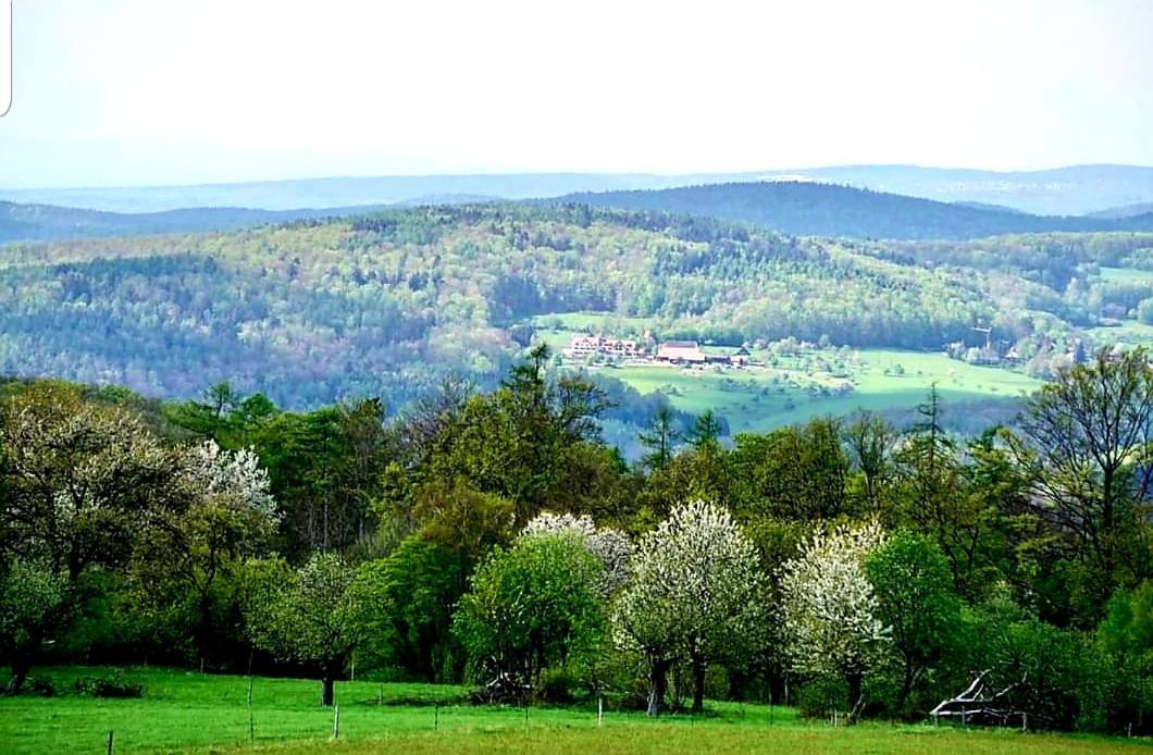 Geishoehe Landgasthof Rose Dammbach Zewnętrze zdjęcie